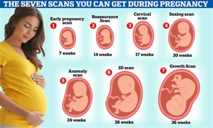 Can you be pregnant for 3 months and not know?