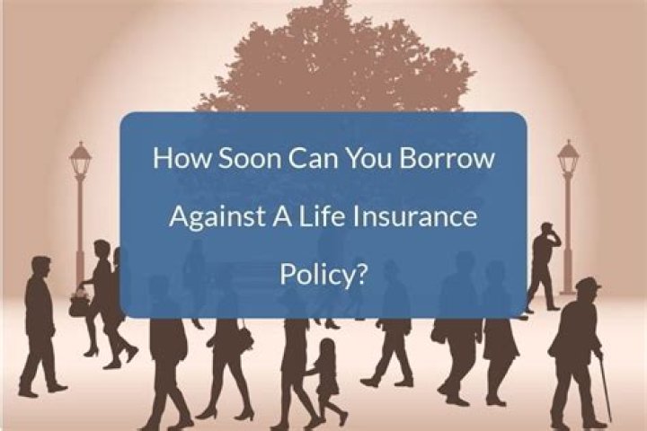 Can you borrow from NY Life Insurance?