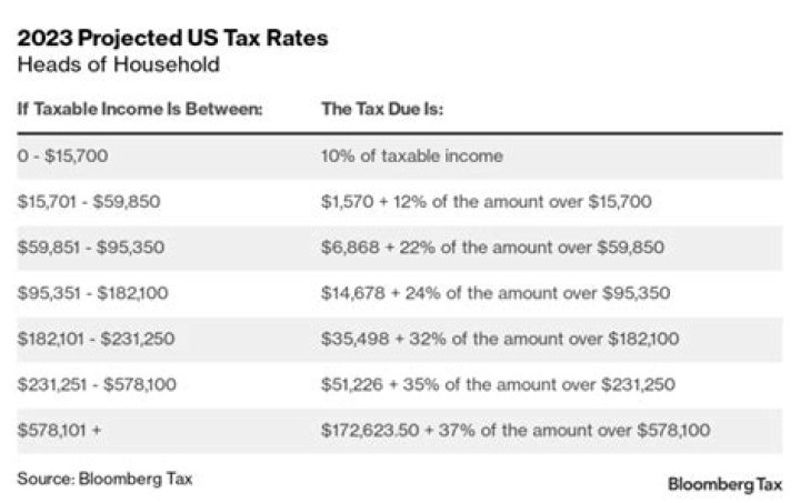 Can You claim someone on your taxes if they get SSI?