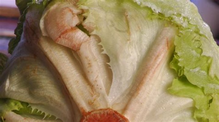 Can you eat unwashed lettuce?