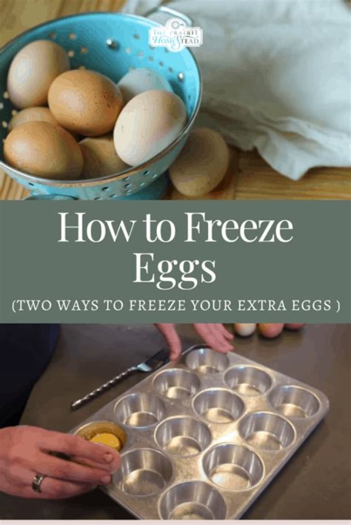 Can you freeze cracked eggs?