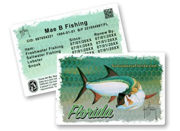 Can you get a Florida fishing license at Walmart?