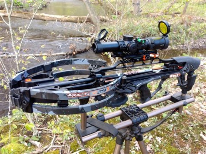 Can you get Lawans crossbow?