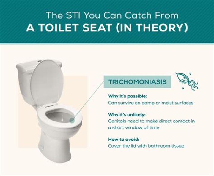 Can you get lice from a toilet seat?