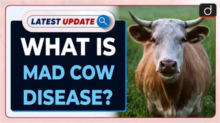 Can you get mad cow disease from milk?