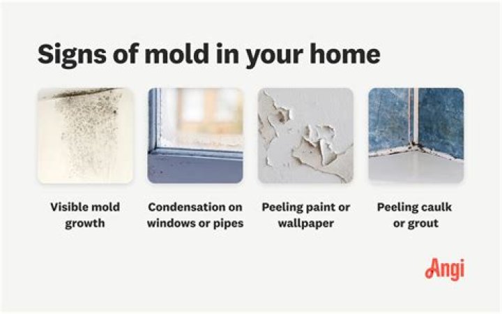 Can you get mold in your nose?