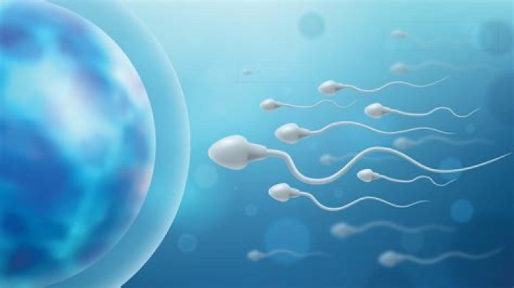 Can you have a kid without sperm?