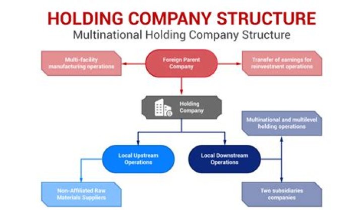 Can you have multiple companies under S corp?