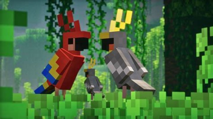 Can you heal parrots in Minecraft?