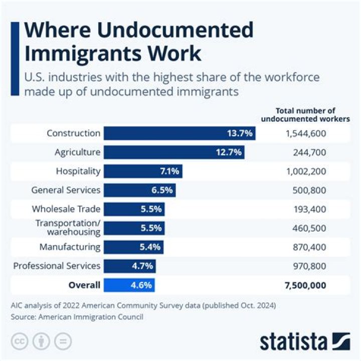 Can you own a business if you are undocumented?