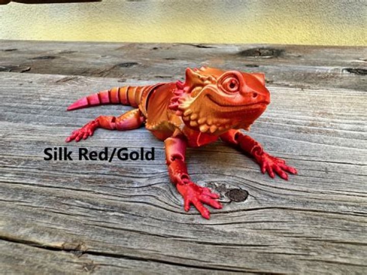 Can you paint bearded dragon's nails?