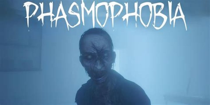 Can you play Phasmophobia without WIFI?