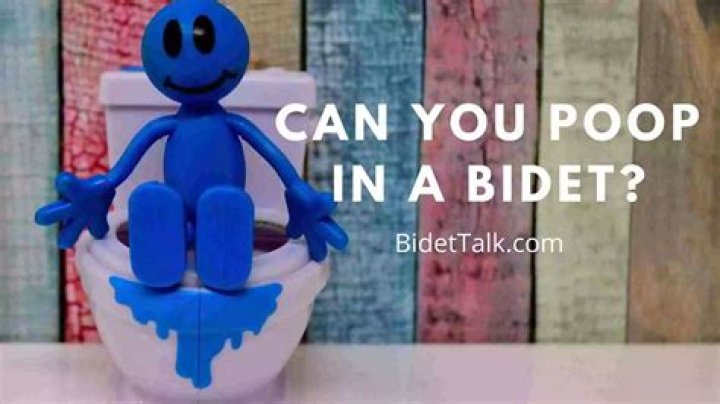 Can you poop in a bidet?