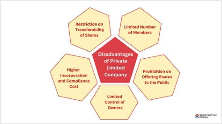 Can you sue the owner of a limited company?