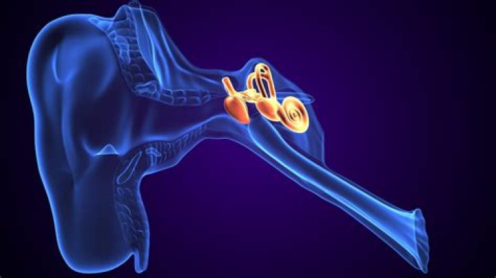 Can you syringe your own ears?
