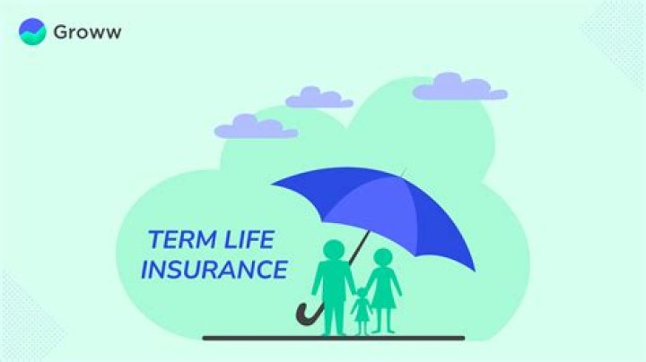 Can you take out a loan against a term life insurance policy?