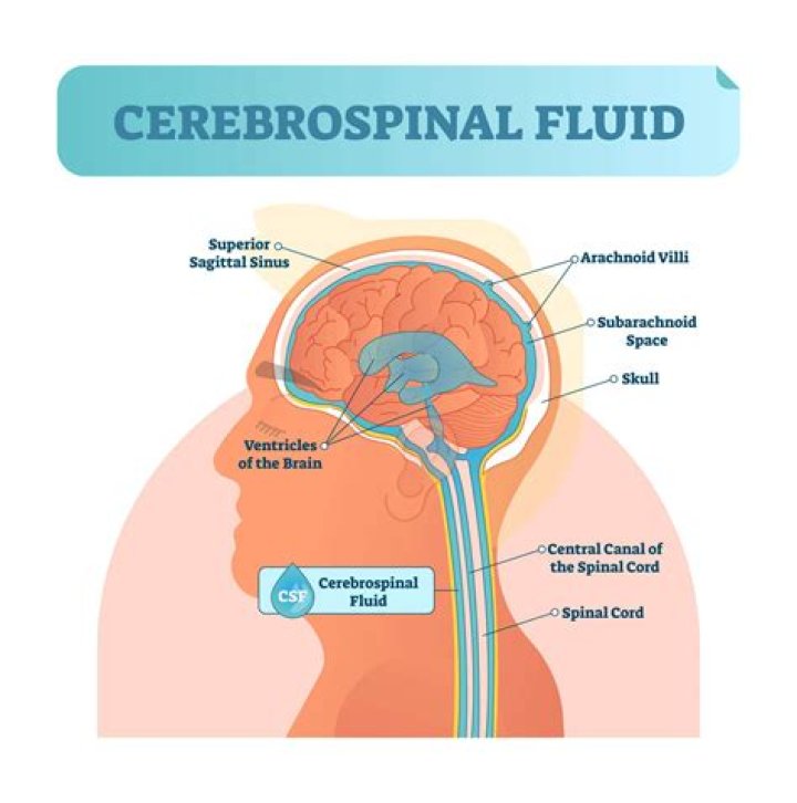 Can you taste brain fluid?