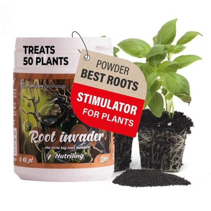 Can you use root stimulator on grass?
