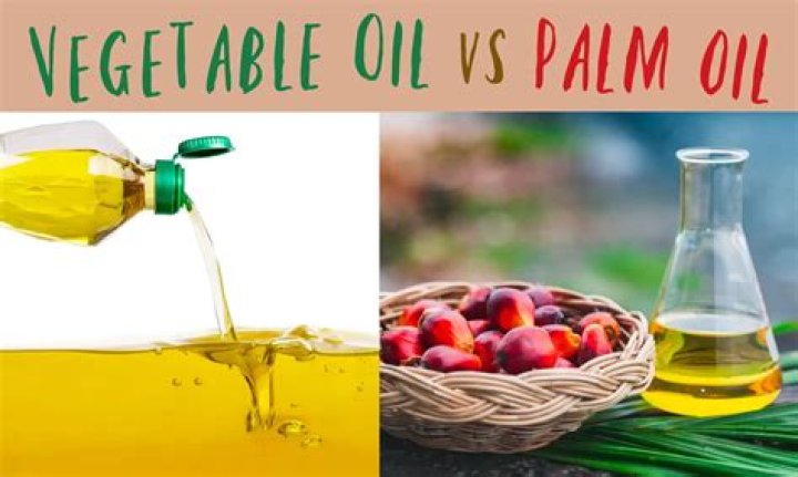 Can you use vegetable oil instead of hydraulic oil?