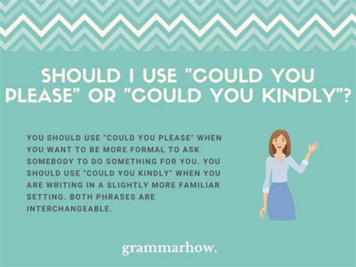 Could you please or could you kindly?