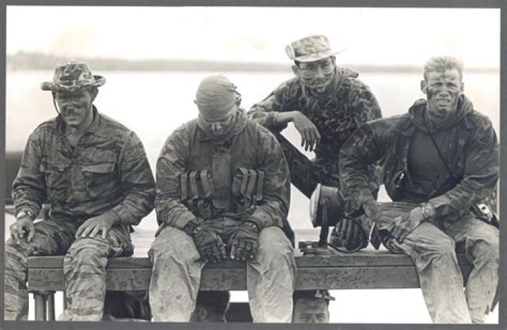 Did Navy SEALs fight in Vietnam?