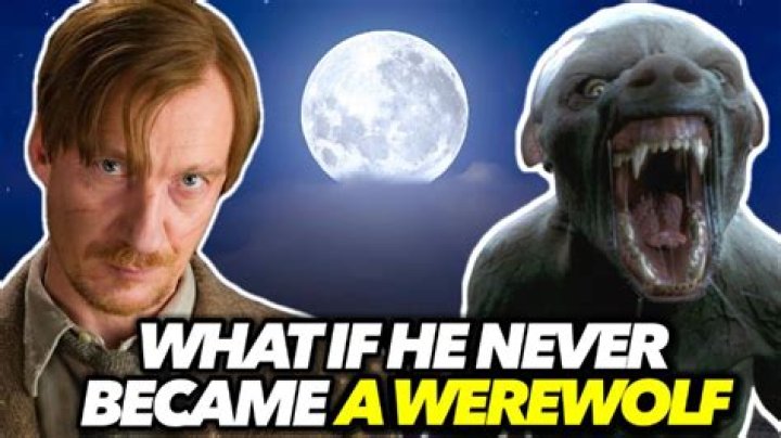 Did Snape know Lupin was a werewolf?