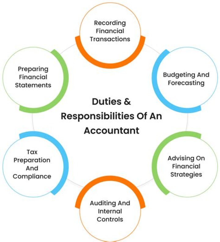 Do accountants work on projects?