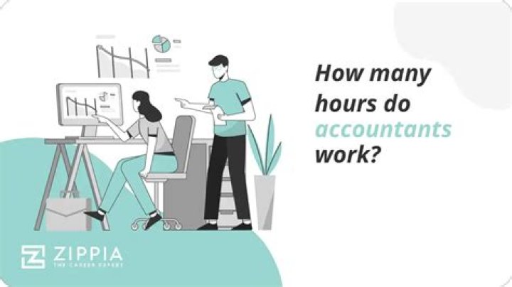 Do accountants work with the public?