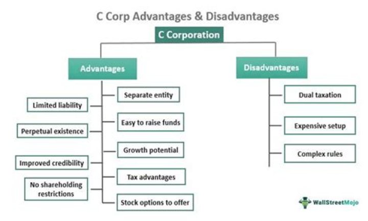 Do C corp owners have to take a salary?