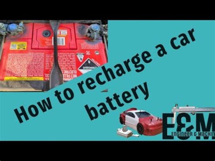 Do car batteries recharge electric eels?