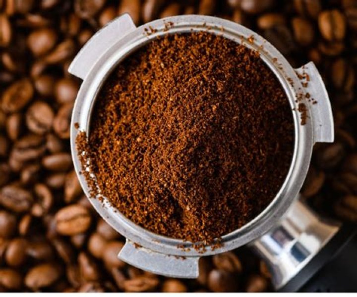 Do coffee grounds keep rodents away?