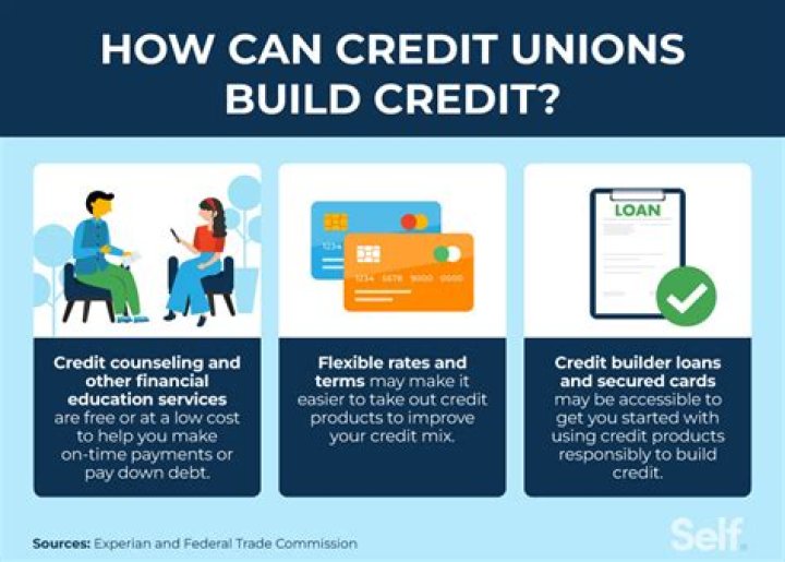 Do credit unions lend to small businesses?