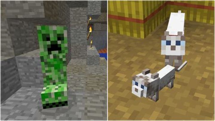Do creepers run from baby cats?