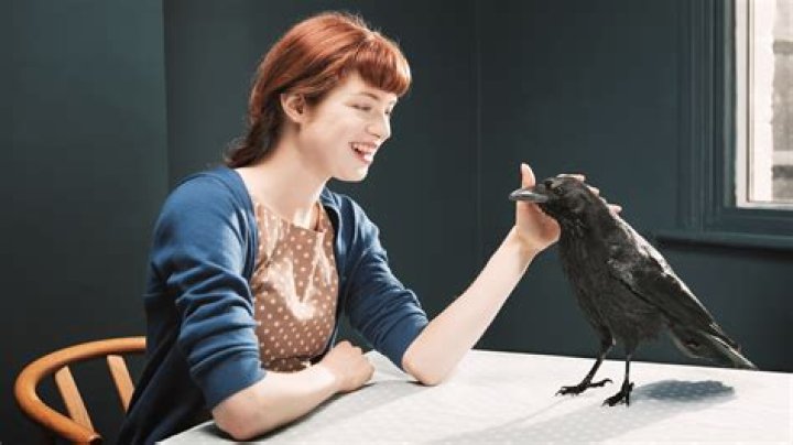 Do crows like or hate shiny things?