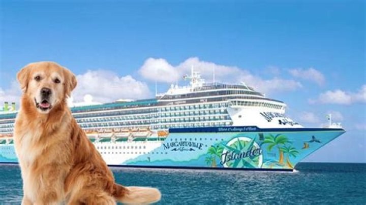 Do cruise ships allow dogs?