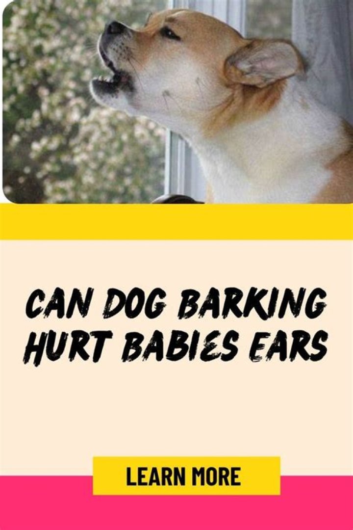 Do dogs understand that babies are babies?