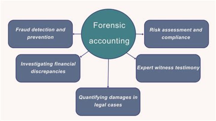 Do Forensic accountants do taxes?