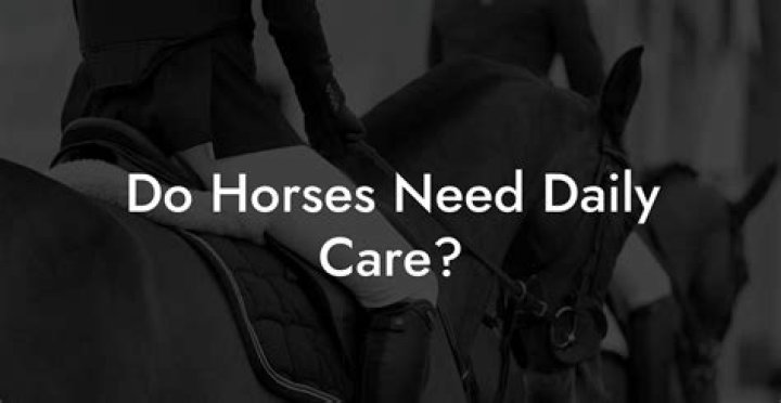 Do horses need to be ridden every day?