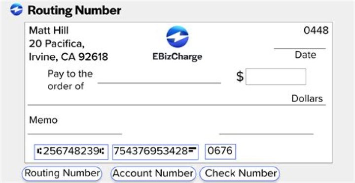 Do international accounts have routing numbers?