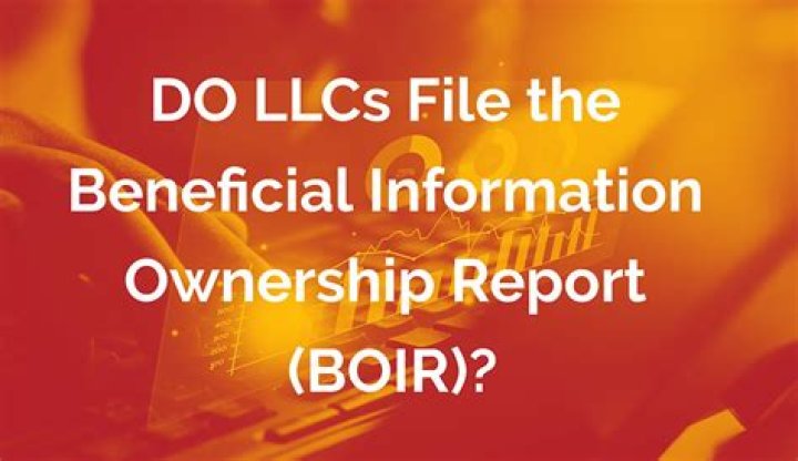 Do LLCS file with the SEC?