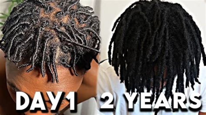 Do locs shrink before they grow?