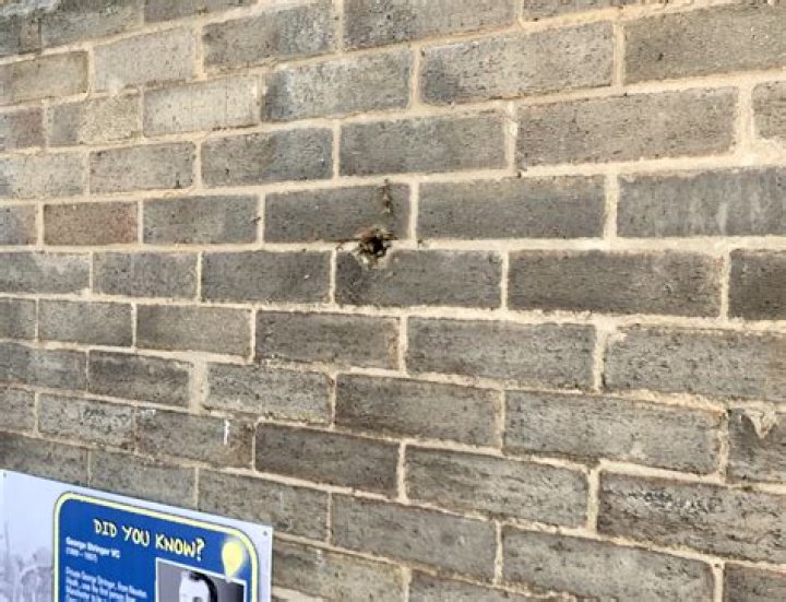 Do masonry bees damage houses?