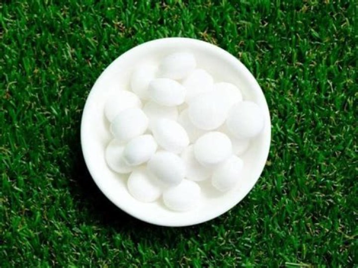 Do mothballs keep bees away?