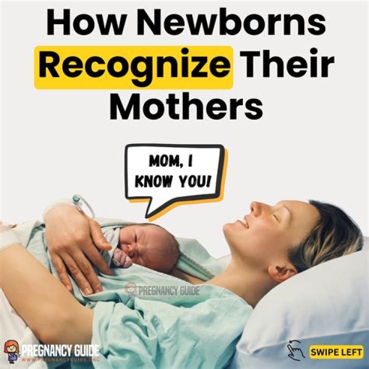Do newborns know their mom?