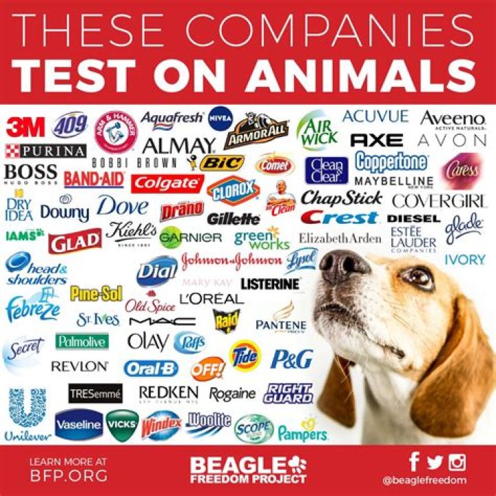 Do Nivea test on animals?