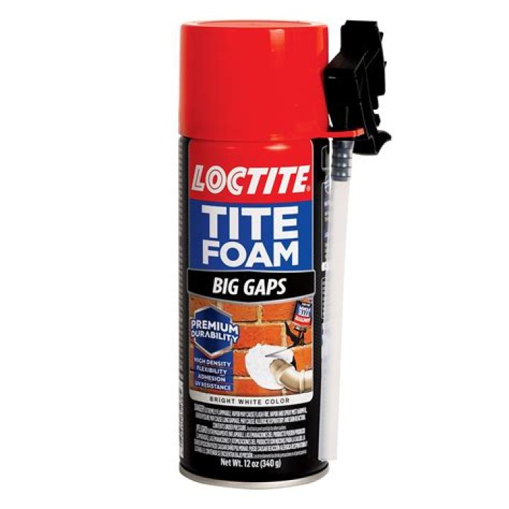 Do rats like expanding foam?
