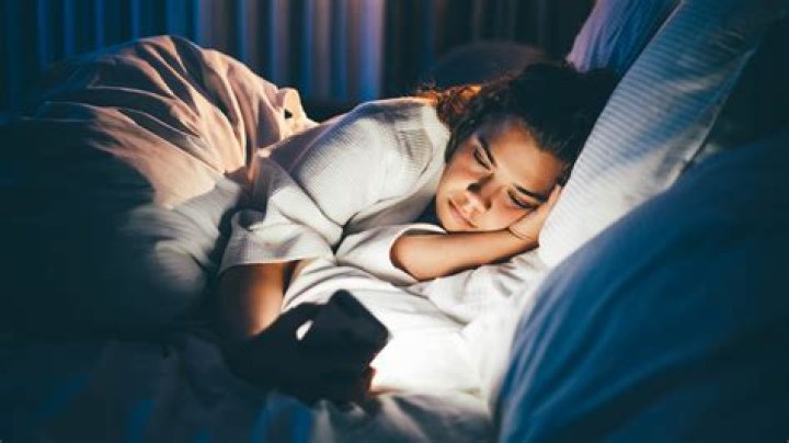 Do snakes go to bed at night?