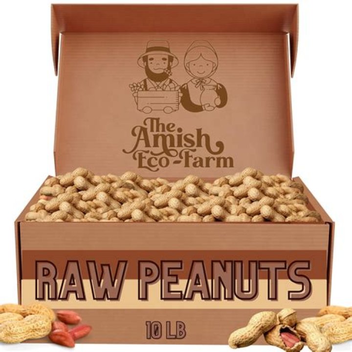 Do squirrels prefer shelled or unshelled peanuts?