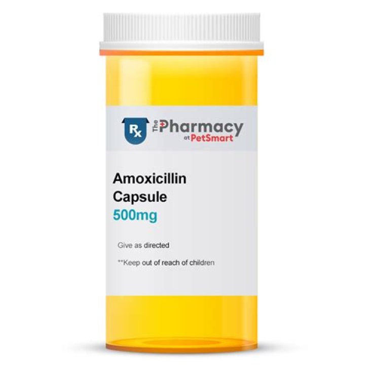 Do they sell amoxicillin at PetSmart?