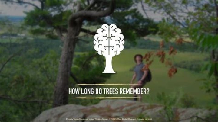 Do trees remember?